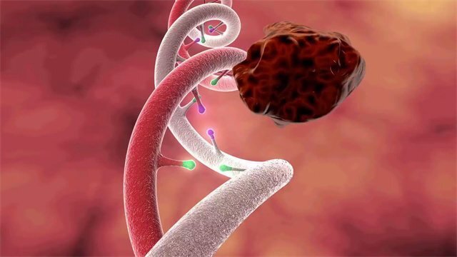 醫(yī)學(xué)動畫圖片11