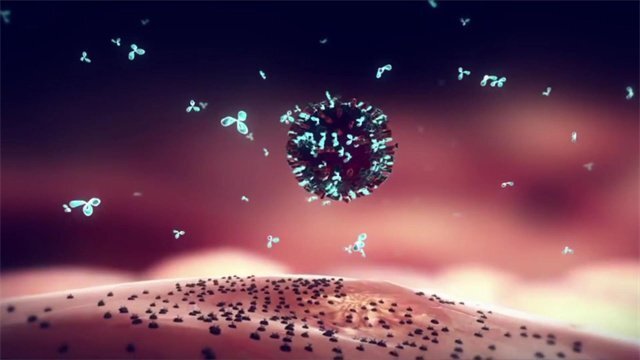 醫(yī)學(xué)動畫圖片13