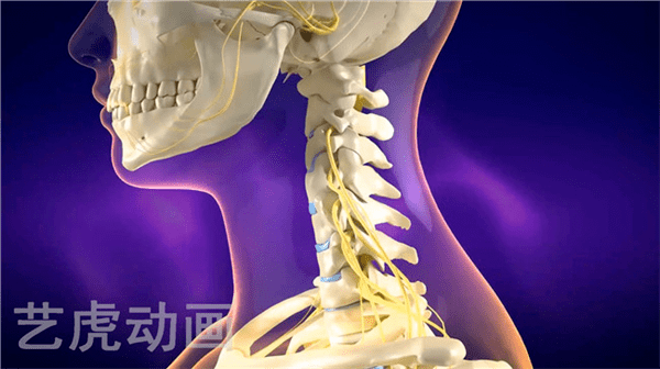 醫學3d強直性脊柱炎動畫手術