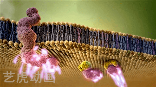 3d醫學動畫分析腰椎間盤突出