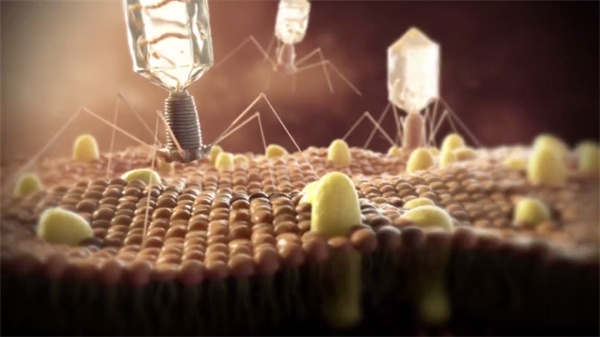 成年人醫(yī)學(xué)3d動(dòng)畫演示環(huán)切術(shù)