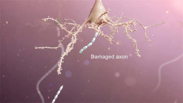 醫學3d動畫演示人體的循環系統