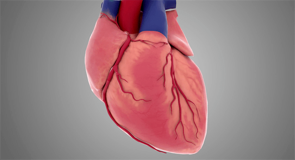 醫(yī)學(xué)3d動(dòng)畫演示先天性心臟病