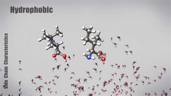 三分鐘動畫了解康復醫學科