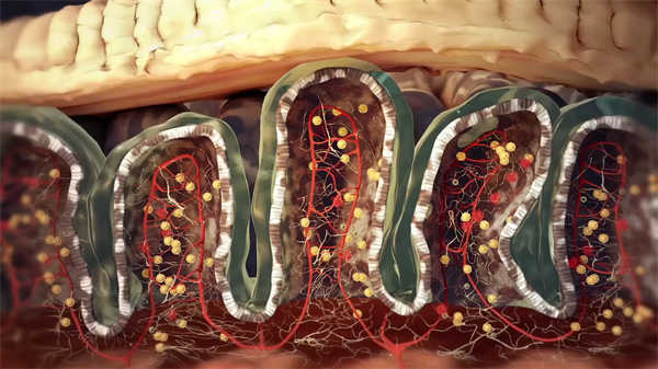醫學科普3d動畫演示宮腹腔鏡