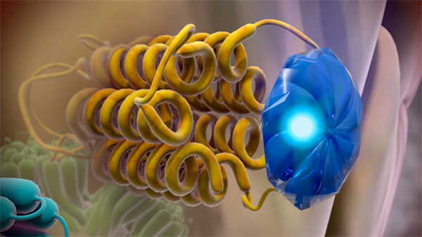 醫學科普動畫2分鐘認識帕金森病