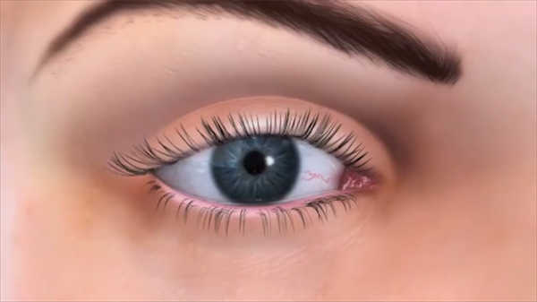 3d醫(yī)學(xué)動畫女性生理期排卵