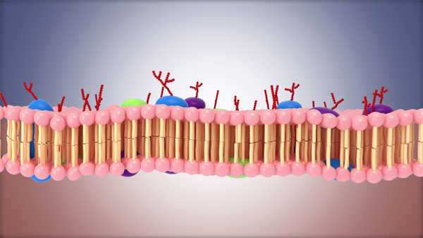 醫學三d動畫腰間盤突出手術
