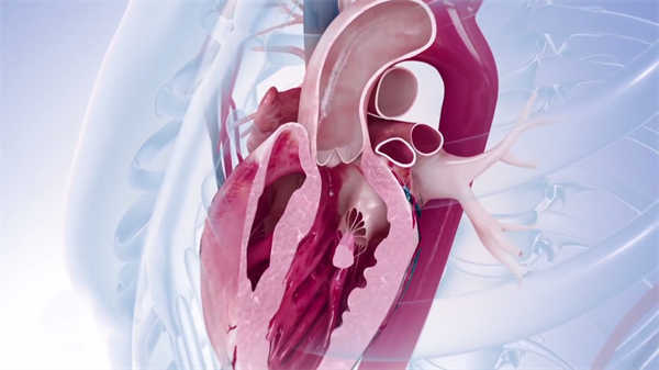 醫學3d動畫肘管綜合征手術