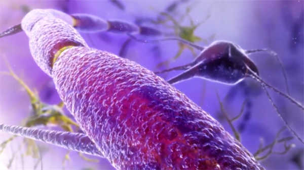 醫學知識科普視頻三維動畫