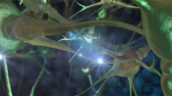 醫學免疫學動畫