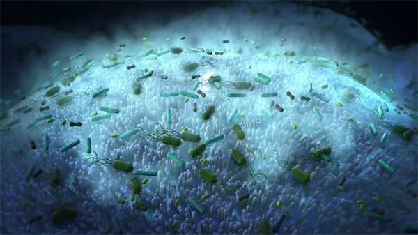  醫(yī)學(xué)疾病動(dòng)畫