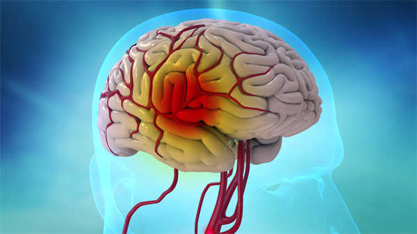 醫(yī)學(xué)講課動(dòng)畫(huà)