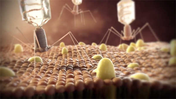 醫學課程動畫演示