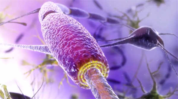 醫(yī)學(xué)動畫知識科普