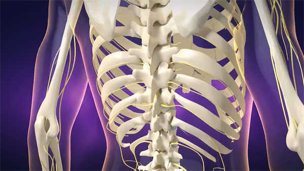 醫(yī)學(xué)骨科動畫視頻