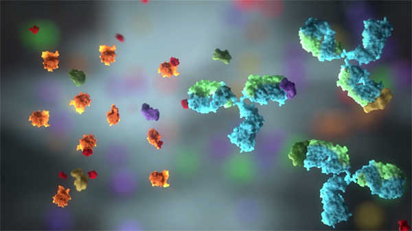 醫學免疫動畫視頻