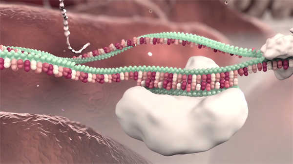 醫(yī)學(xué)醫(yī)療產(chǎn)品演示動畫