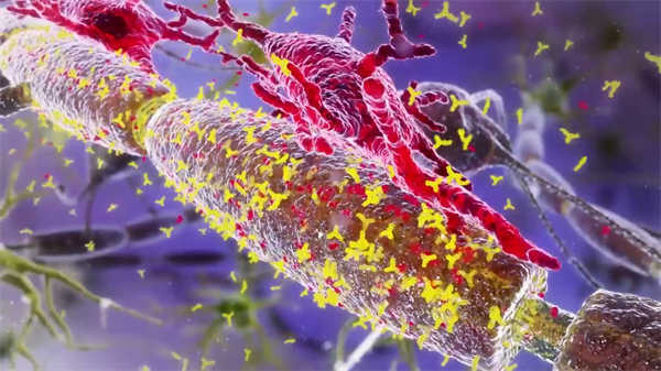 3D醫學動畫消化內科