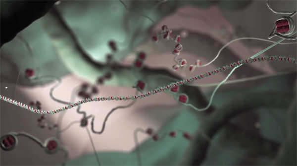 3d醫學知識動畫