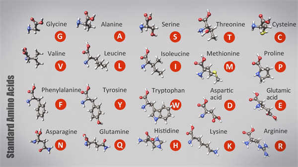 醫(yī)學(xué)手術(shù)科普動(dòng)畫