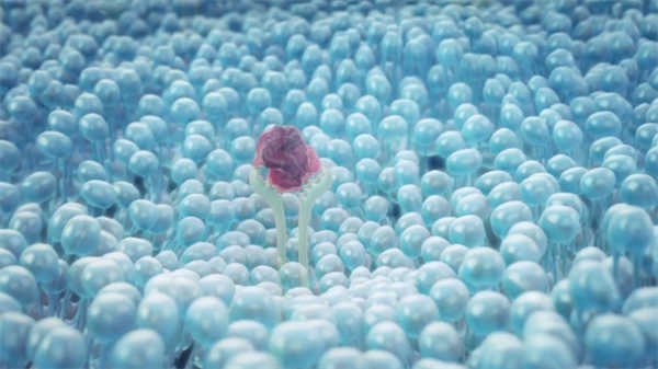 醫(yī)學(xué)3d動(dòng)畫演示手術(shù)