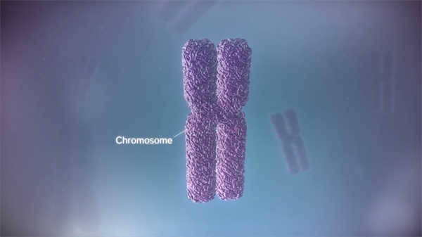 切除腫瘤手術(shù)醫(yī)學(xué)動(dòng)畫視頻