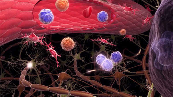 醫(yī)學(xué)醫(yī)療器械動畫