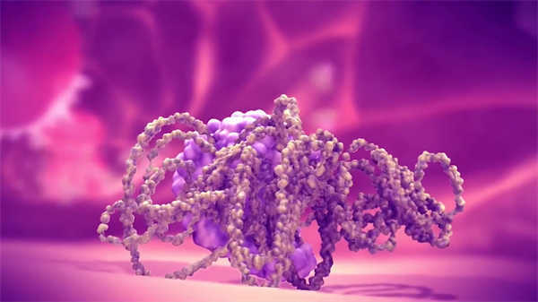 兒童醫(yī)學(xué)科普動畫骨骼