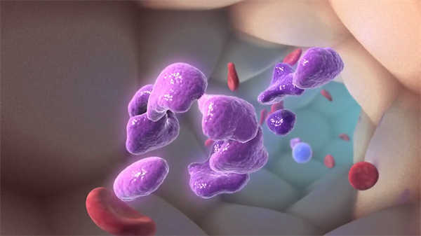 20分鐘醫(yī)學(xué)科普動畫短片